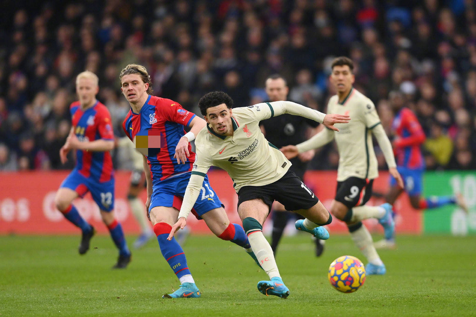 健儿的敬佩 健儿的敬佩