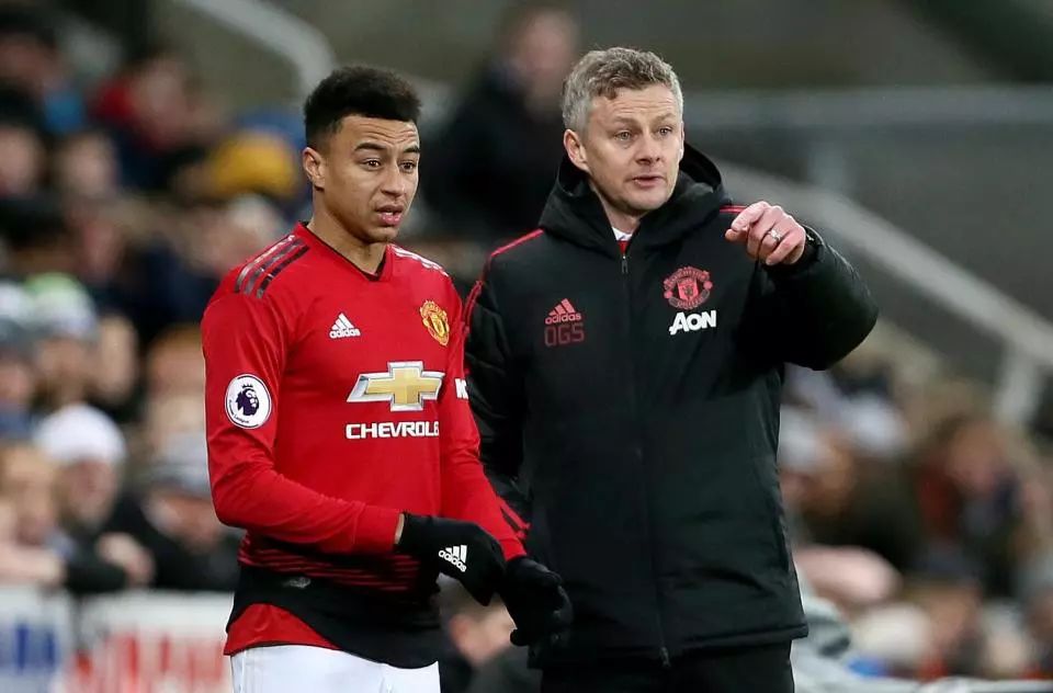 他们展现了 他们展现了